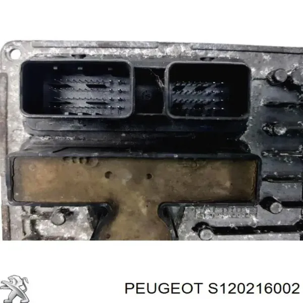  S120216002 Peugeot/Citroen