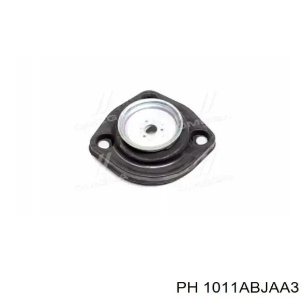  1011ABJAA3 PH