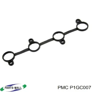 P1GC007 PMC