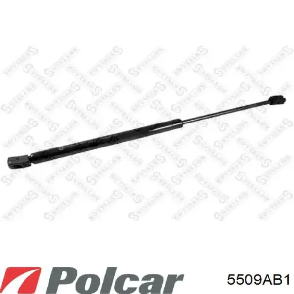 Амортизатор багажника 5509AB1 Polcar