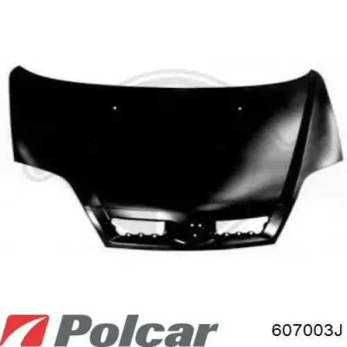 Капот Renault Scenic I