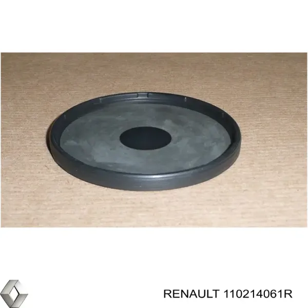 Заглушка блоку циліндрів 110214061R Renault (RVI)