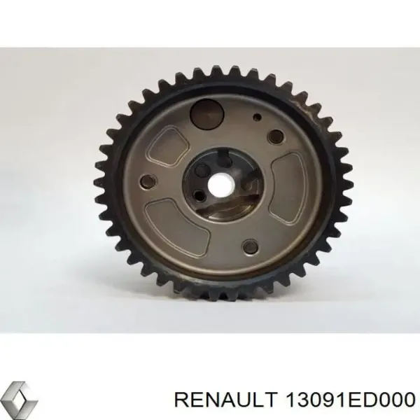 Башмак натягувача ланцюга ГРМ 13091ED000 Renault (RVI)