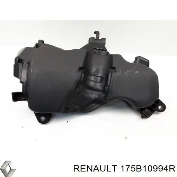  175B10994R Renault (RVI)
