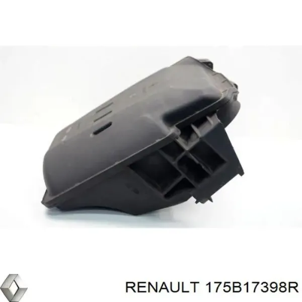  175B17398R Renault (RVI)