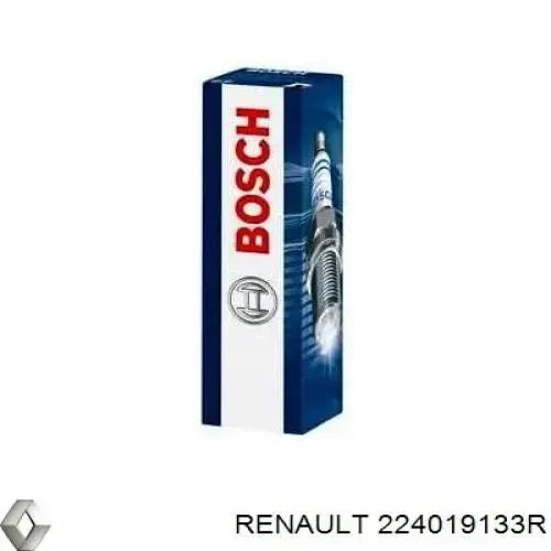 Свічки автомобільні Renault (RVI) 224019133R ціна, від