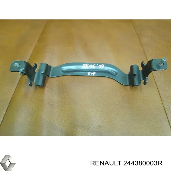  244380003R Renault (RVI)