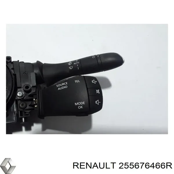  255676466R Renault (RVI)