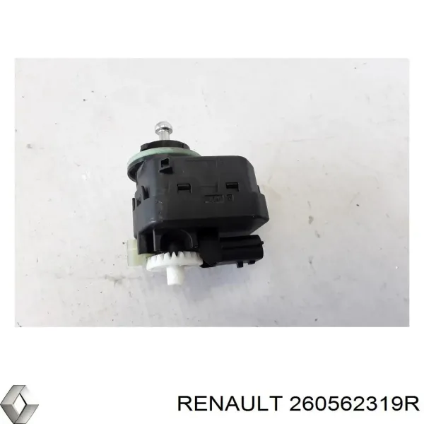  260562319R Renault (RVI)