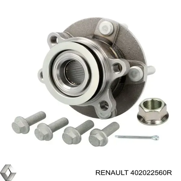 Передня маточина 402022560R Renault (RVI)
