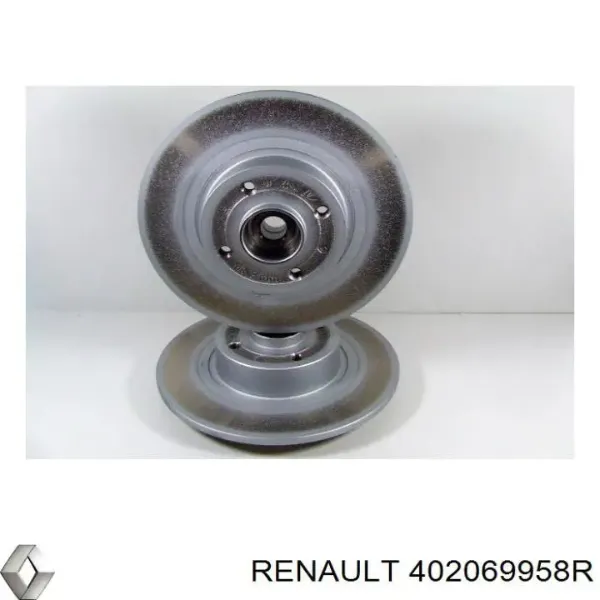 Гальмівні диски передні 402069958R Renault (RVI)