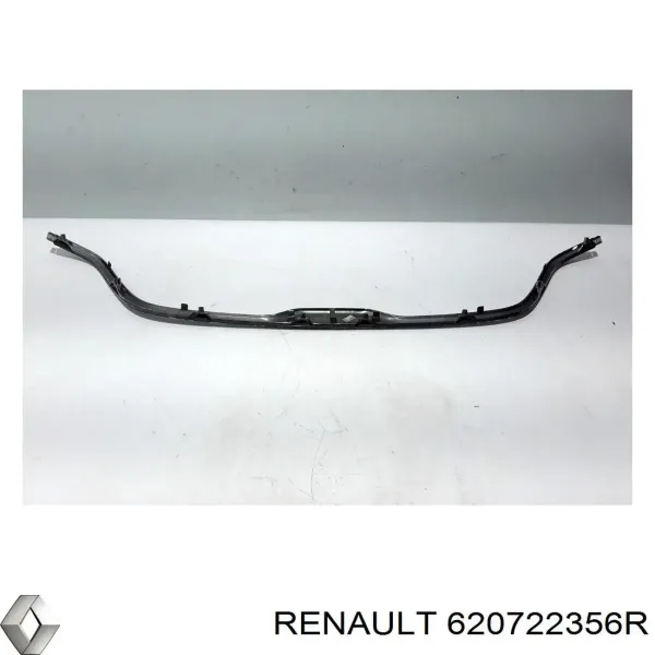  620722356R Renault (RVI)