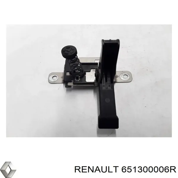 651300006R Renault (RVI)