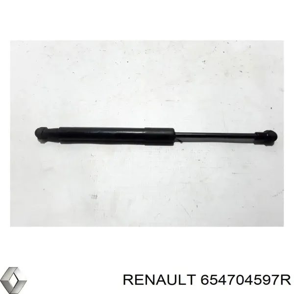 Купити Амортизатор капота Renault Scenic GRAND IV R9