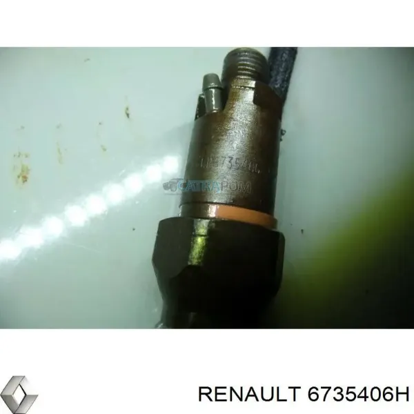Паливні форсунки 432193643 Renault (RVI)