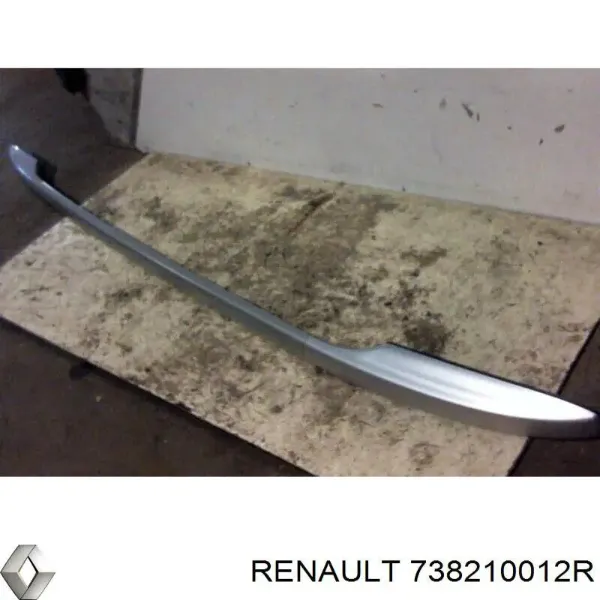Рейлінг даху лівий 738210012R JAC