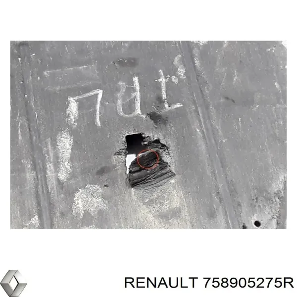 Захист двигуна REN08ME033 Dega