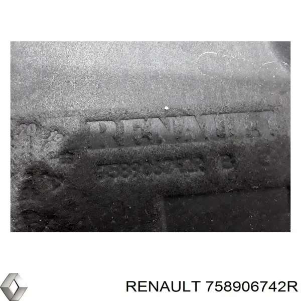 Захист моторного відсіку Renault (RVI) 758906742R ціна, від