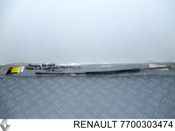  7700303474 Renault (RVI)