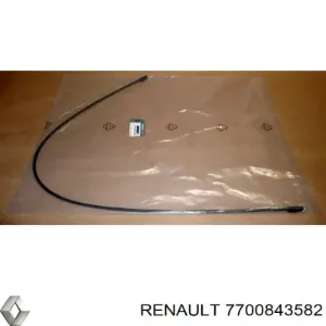 S440 LECOY