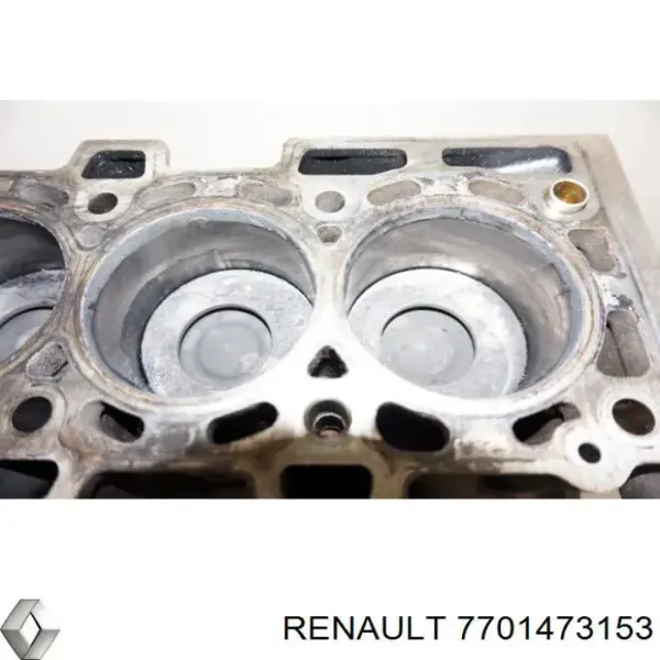  7701473153 Renault (RVI)