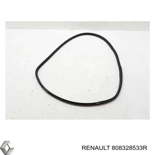  808328533R Renault (RVI)
