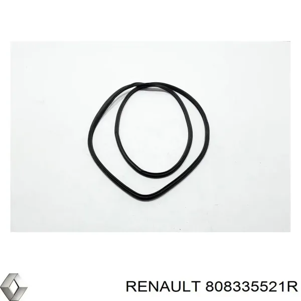 Ущільнювач двері передньої лівої (на кузові) 808335521R Renault (RVI)
