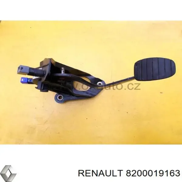  8200019163 Renault (RVI)