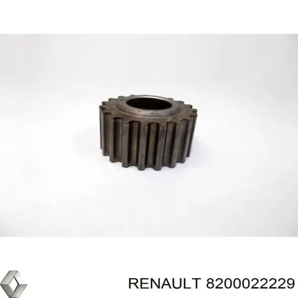  8200022229 Renault (RVI)