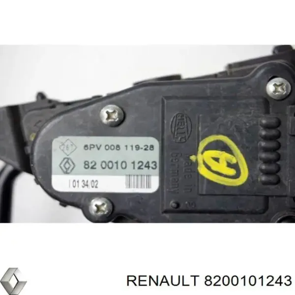  8200101243 Renault (RVI)