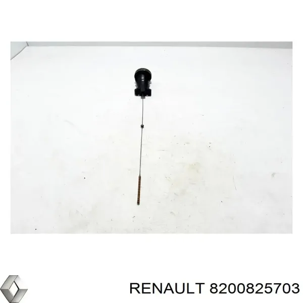  8200825703 Renault (RVI)