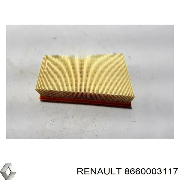 Повітряний фільтр 8660003117 Renault (RVI)
