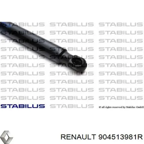Амортизатор багажника 904513981R Renault (RVI)