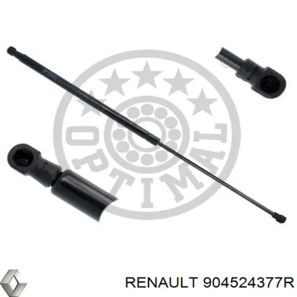  904524377R Renault (RVI)