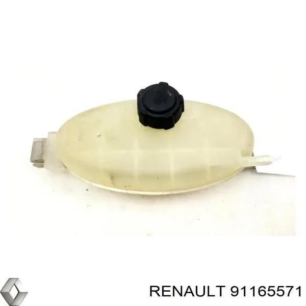  91165571 Renault (RVI)