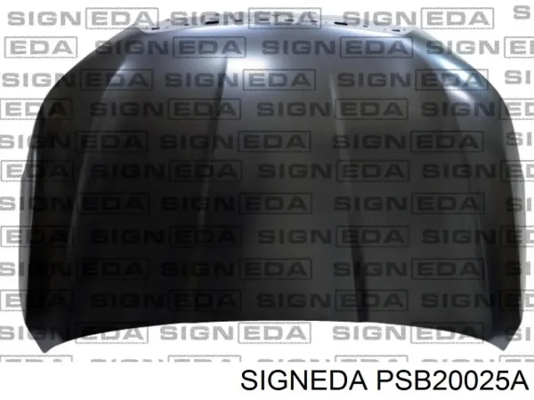 Капот PSB20025A Signeda