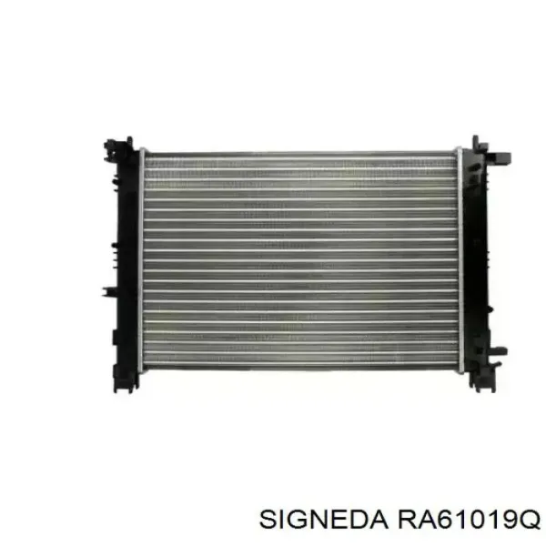  RA61019Q Signeda