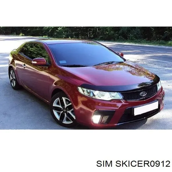 Мухобійка KIA Cerato II