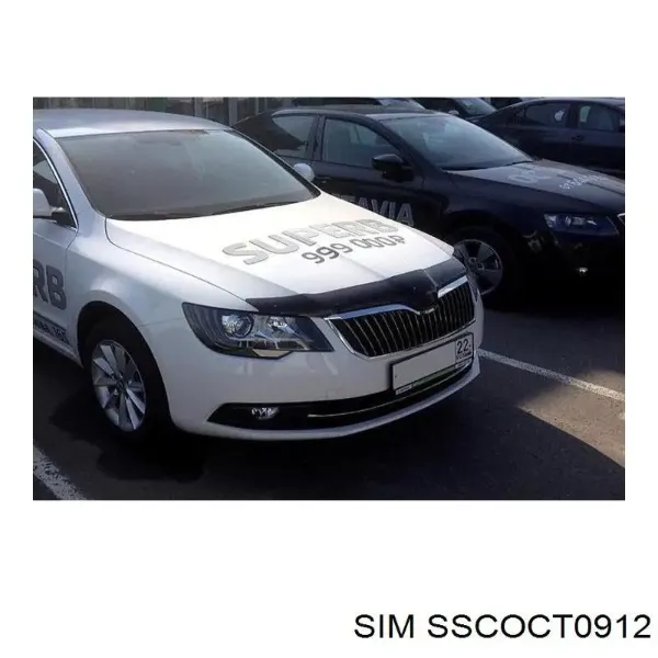 Спойлер капота на Skoda Octavia II A5 1Z3