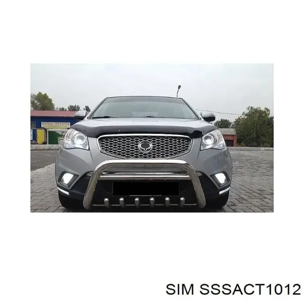 Мухобійка SsangYong Actyon 