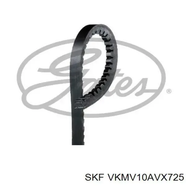 Ремінь генератора VKMV10AVX725 SKF