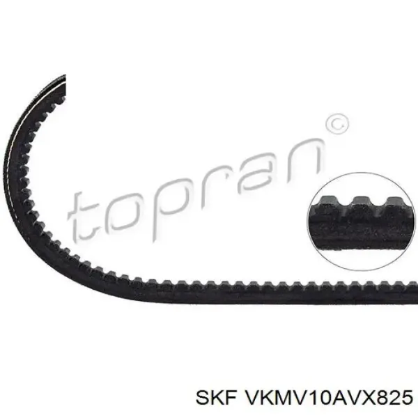 Ремінь генератора VKMV10AVX825 SKF