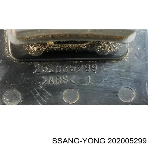  202005299 Ssang Yong