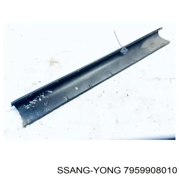  7959908010 Ssang Yong