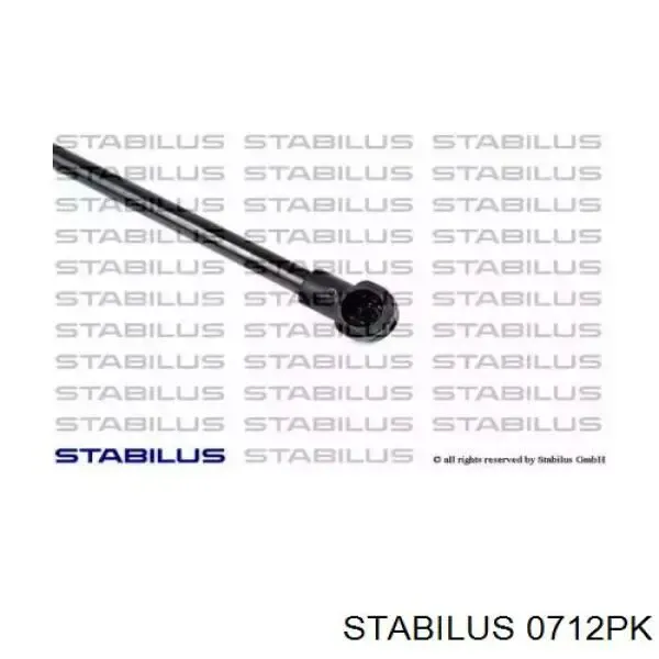 Амортизатор багажника 430719073500 Magneti Marelli