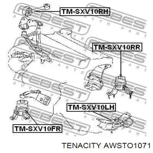 Подушка коробки передач AWSTO1071 Tenacity