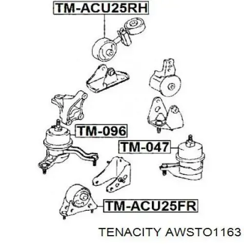 Подушка (опора) двигуна, права верхня AWSTO1163 Tenacity