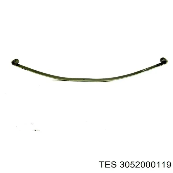  3052000119 TES