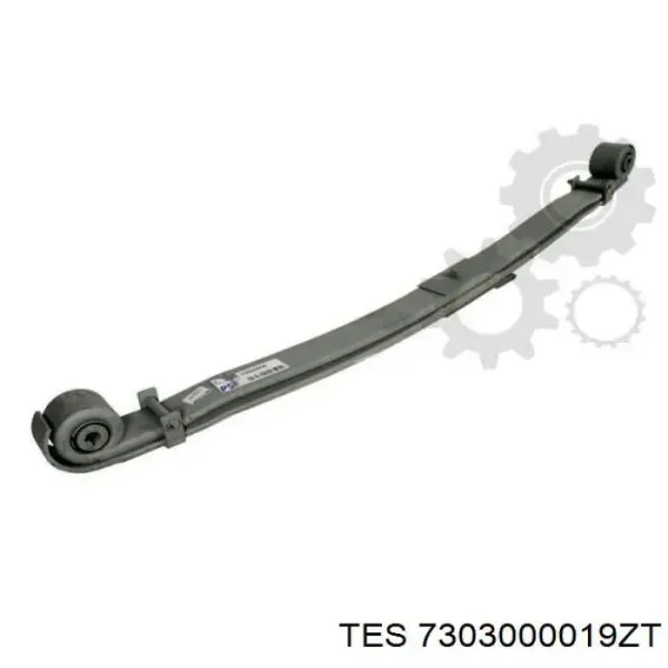  7303000019ZT TES