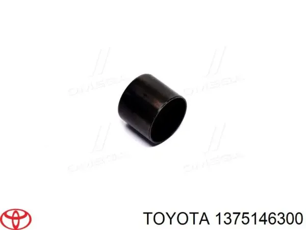 Гідрокомпенсатор на Toyota RAV4 III A3